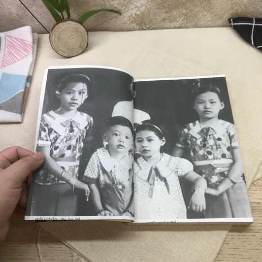 เรือชีวิตเจ้าสัวเลือดมังกรตระกูลล่ำซำ - ธนวัฒน์ ทรัพย์ไพบูลย์ รูปที่ 12