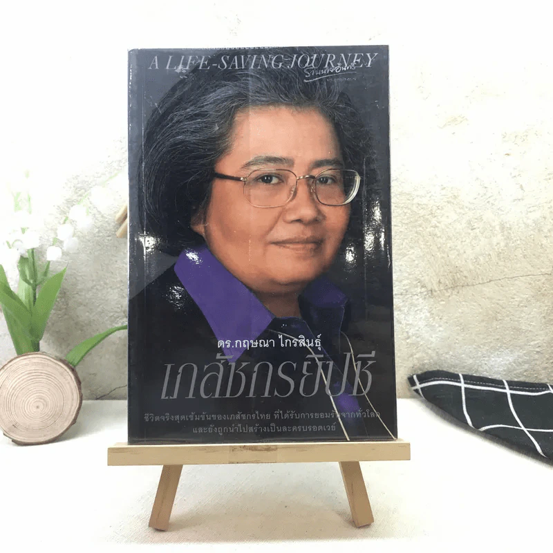 เภสัชกรยิปซี - ดร.กฤษณา ไกรสินธุ์ รูปที่ 1
