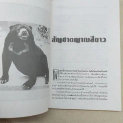 สร้อยสามกษัตริย์ - สินี เต็มสงใส รูปที่ 11