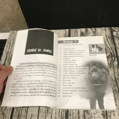 Dog in Thailand Volume 1 รวมสุนัขสายพันธุ์ของนิยมในประเทศไทย - ทวีศักดิ์ รูปที่ 11