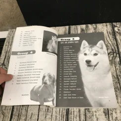 Dog in Thailand Volume 1 รวมสุนัขสายพันธุ์ของนิยมในประเทศไทย - ทวีศักดิ์ รูปที่ 14