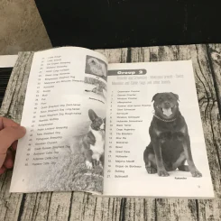 Dog in Thailand Volume 1 รวมสุนัขสายพันธุ์ของนิยมในประเทศไทย - ทวีศักดิ์ รูปที่ 12
