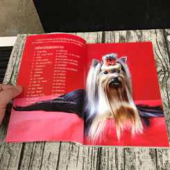 Dog in Thailand Volume 1 รวมสุนัขสายพันธุ์ของนิยมในประเทศไทย - ทวีศักดิ์ รูปที่ 9