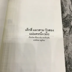 เด็กสี่ แมวสาม วัวสอง แม่มดหนึ่ง (มั้ง) (มูลนิธิดำรงชัยธรรม) รูปที่ 7