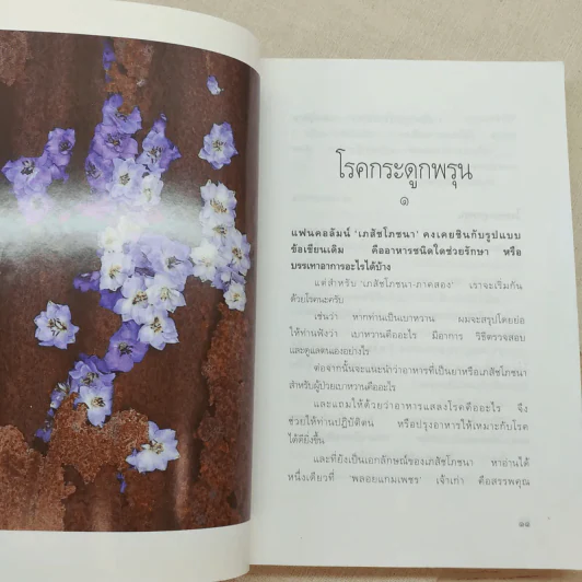 เภสัชโภชนา 2 - ภก.สรจักร ศิริบริรักษ์ รูปที่ 12