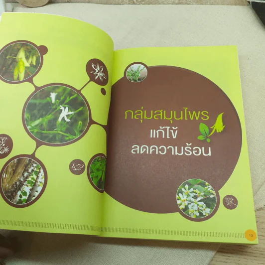 88 สมุนไพรประจำบ้าน รูปที่ 14