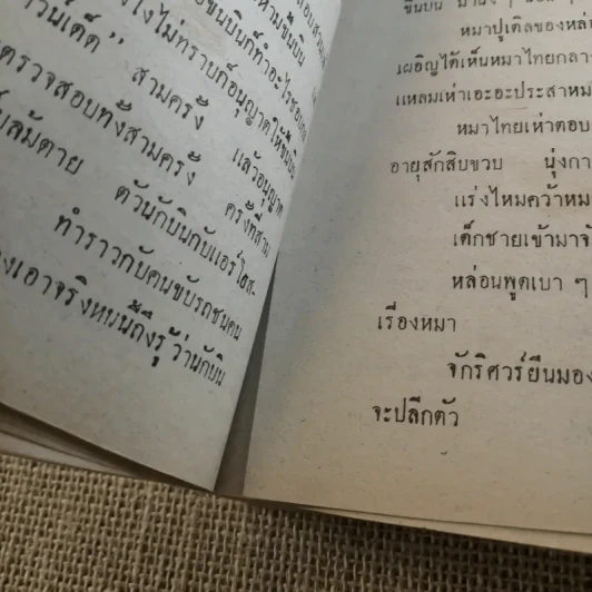 พ่อม่ายเมียหย่า - วลัย นวาระ รูปที่ 10