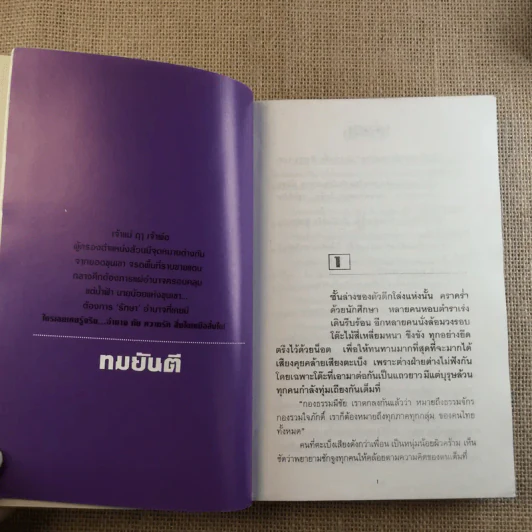 เจ้าแม่ - ทมยันตี รูปที่ 9