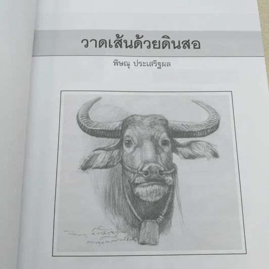 วาดเส้นด้วยดินสอ - พิษณุ ประเสริฐผล รูปที่ 8