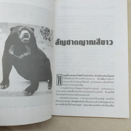 สร้อยสามกษัตริย์ - สินี เต็มสงใส รูปที่ 11