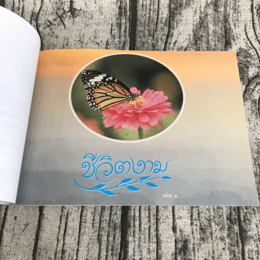 ชีวิตงาม เล่ม 3 - อนุสรณ์งานพระราชทานเพลิงศพ รองศาสตราจารย์ กฤษฎี เกียรติชนก รูปที่ 9