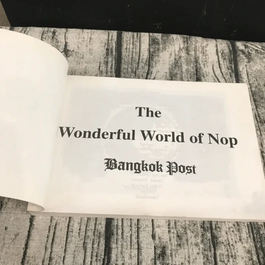 The Wonderful World of Nop รูปที่ 6