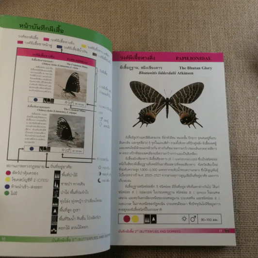 บันทึกผีเสื้อ 2 Butterflies and Skippers รูปที่ 14