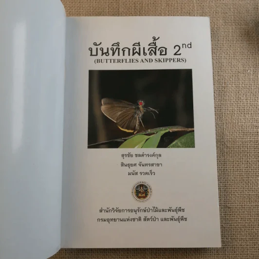 บันทึกผีเสื้อ 2 Butterflies and Skippers รูปที่ 7