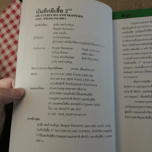 บันทึกผีเสื้อ 2 Butterflies and Skippers รูปที่ 8