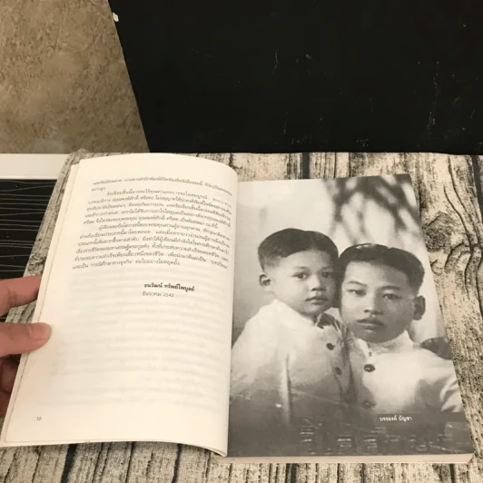เรือชีวิตเจ้าสัวเลือดมังกรตระกูลล่ำซำ - ธนวัฒน์ ทรัพย์ไพบูลย์ รูปที่ 11
