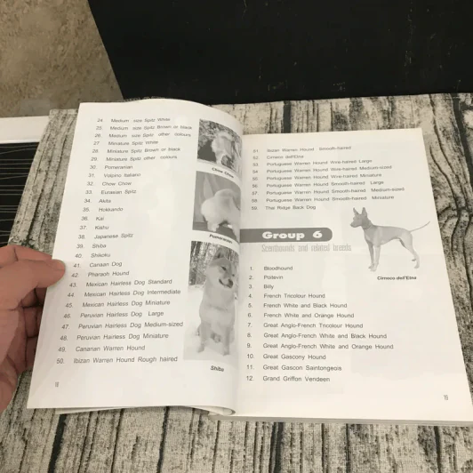 Dog in Thailand Volume 1 รวมสุนัขสายพันธุ์ของนิยมในประเทศไทย - ทวีศักดิ์ รูปที่ 15