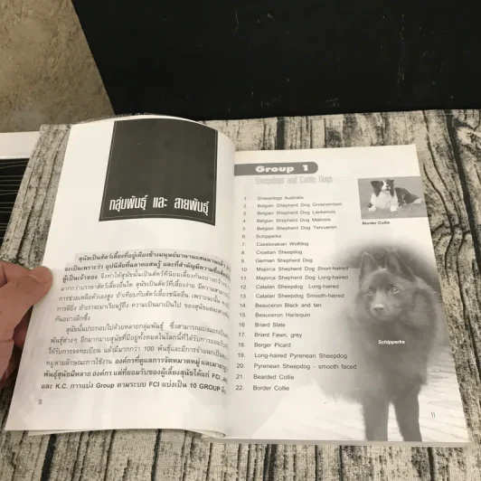 Dog in Thailand Volume 1 รวมสุนัขสายพันธุ์ของนิยมในประเทศไทย - ทวีศักดิ์ รูปที่ 11