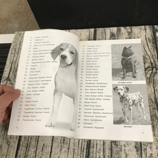 Dog in Thailand Volume 1 รวมสุนัขสายพันธุ์ของนิยมในประเทศไทย - ทวีศักดิ์ รูปที่ 16