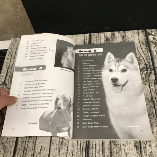 Dog in Thailand Volume 1 รวมสุนัขสายพันธุ์ของนิยมในประเทศไทย - ทวีศักดิ์ รูปที่ 14