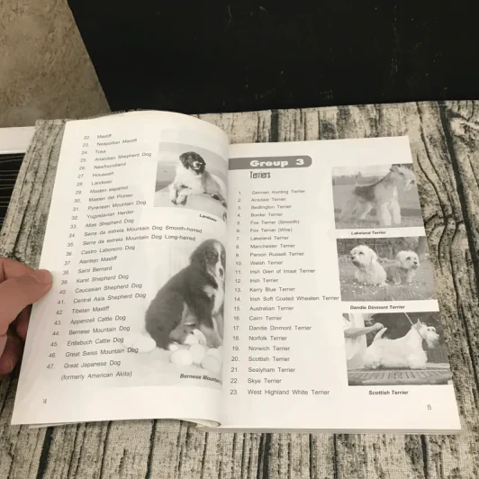 Dog in Thailand Volume 1 รวมสุนัขสายพันธุ์ของนิยมในประเทศไทย - ทวีศักดิ์ รูปที่ 13