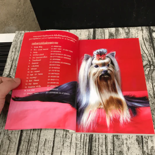 Dog in Thailand Volume 1 รวมสุนัขสายพันธุ์ของนิยมในประเทศไทย - ทวีศักดิ์ รูปที่ 9