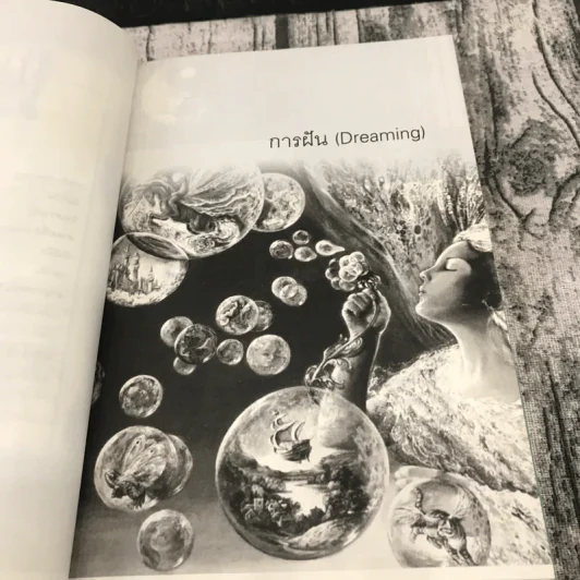 ทำนายฝัน แปลความหมาย รู้รับโชคดี รู้วิธีลอยเคราะห์ร้าย - อ.สุทธิลักษณ์ รูปที่ 9