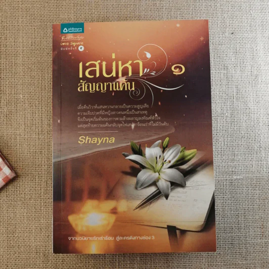 เสน่หาสัญญาแค้น 2 เล่มจบ - Shayna รูปที่ 11