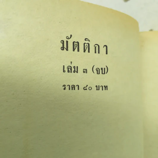 มัตติกา 3 เล่มจบ - บุษยมาส รูปที่ 12