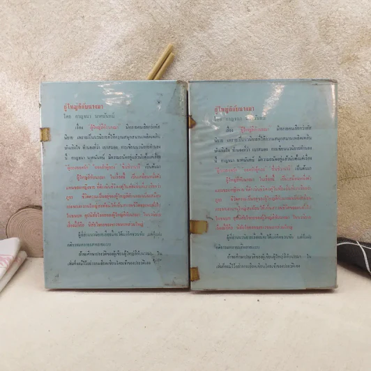 ผู้ใหญ่ลีกับนางมา 2 เล่มจบ - กาญจนา นาคนันทน์ รูปที่ 2