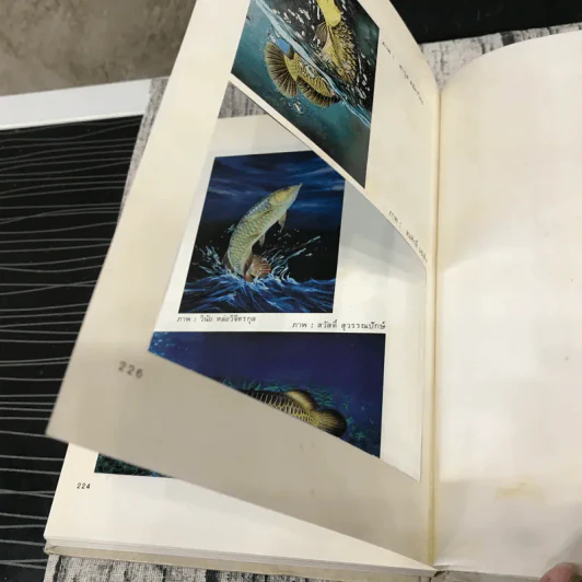 คู่มือการเลี้ยงปลาอะโรวาน่า ประมวลภาพปลาอะโรวาน่าสีสวยสดกว่า 270 ภาพ รูปที่ 14