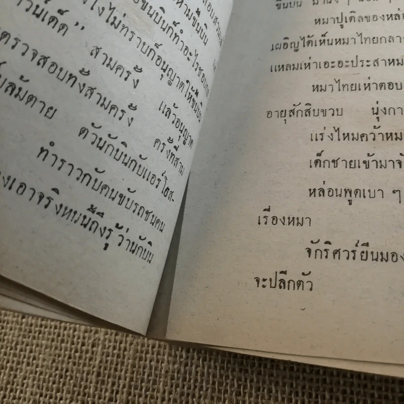 พ่อม่ายเมียหย่า - วลัย นวาระ รูปที่ 10
