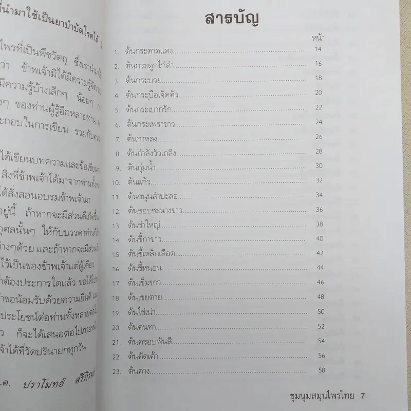 ชุดสมุนไพร ชุมนุมสมุนไพรไทย - สวนสมุนไพร รูปที่ 11