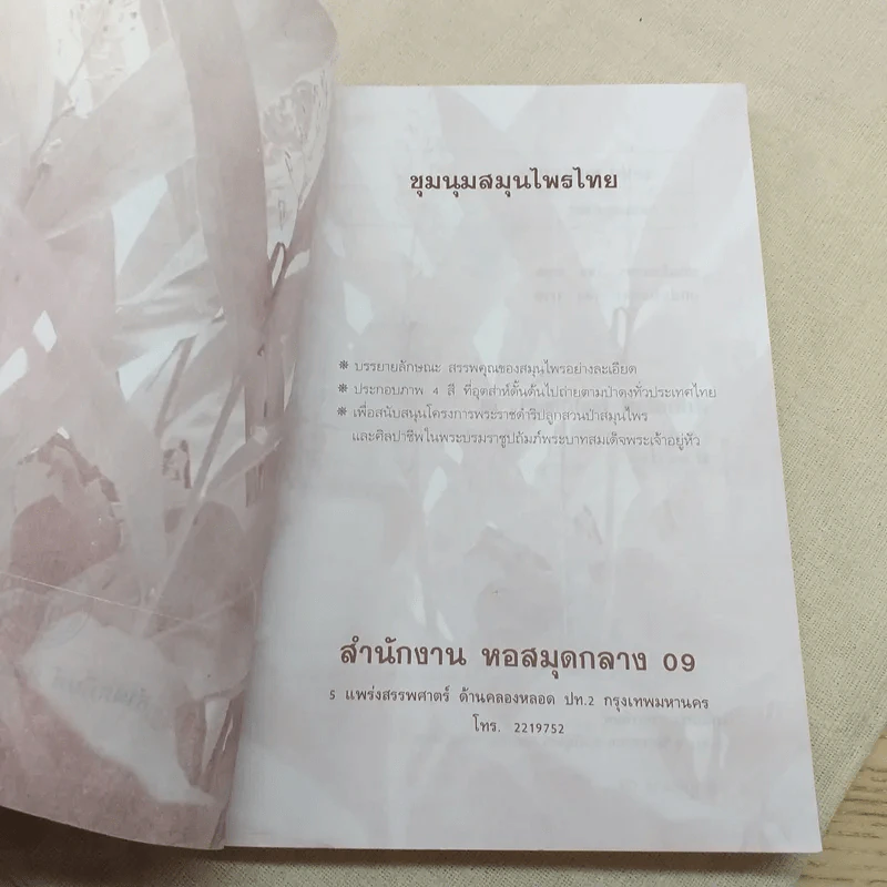 ชุดสมุนไพร ชุมนุมสมุนไพรไทย - สวนสมุนไพร รูปที่ 8