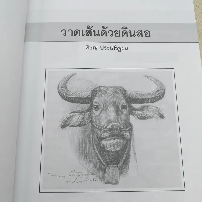 วาดเส้นด้วยดินสอ - พิษณุ ประเสริฐผล รูปที่ 8