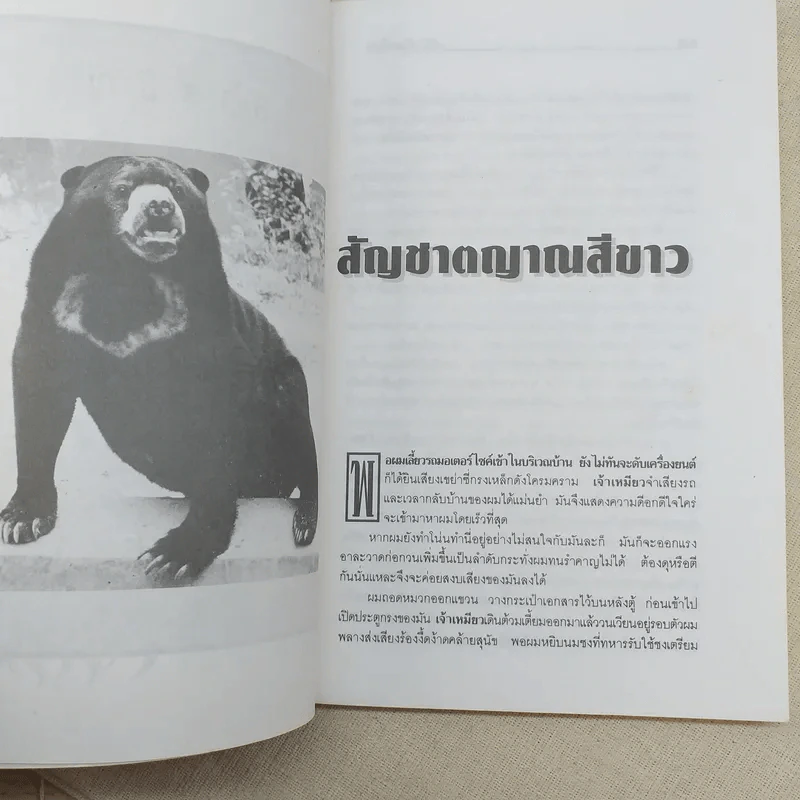 สร้อยสามกษัตริย์ - สินี เต็มสงใส รูปที่ 11
