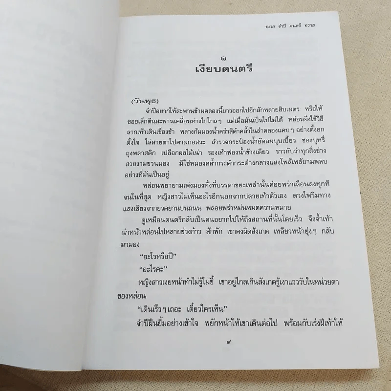 ทะเล จำปี ดนตรี ทราย - วัน ณ จันทร์ธาร รูปที่ 9