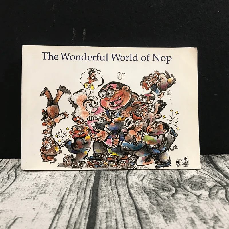 The Wonderful World of Nop รูปที่ 1