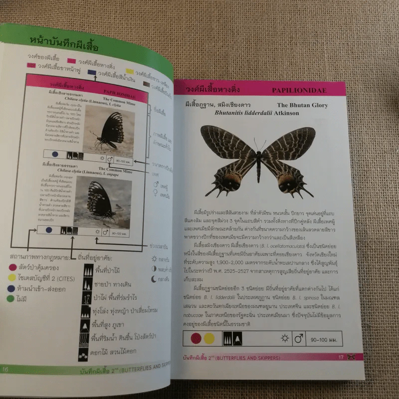 บันทึกผีเสื้อ 2 Butterflies and Skippers รูปที่ 14