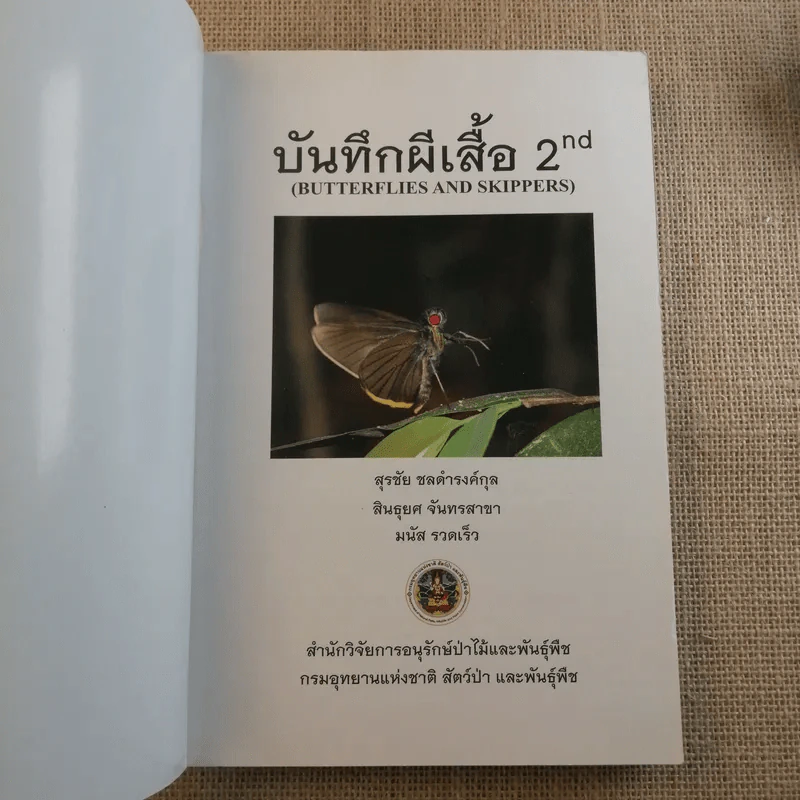 บันทึกผีเสื้อ 2 Butterflies and Skippers รูปที่ 7