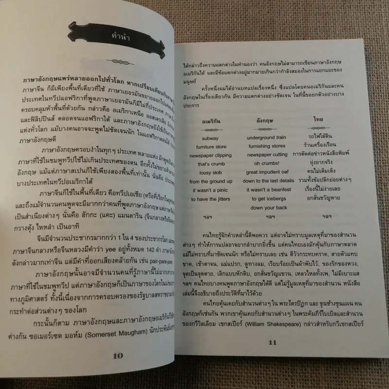ภาษานอกตำราและเหตุที่มาแห่งคำ - นพพร สุวรรณพานิช รูปที่ 10