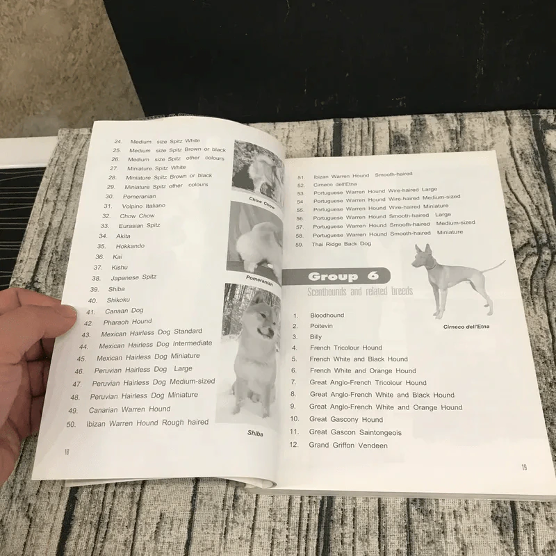 Dog in Thailand Volume 1 รวมสุนัขสายพันธุ์ของนิยมในประเทศไทย - ทวีศักดิ์ รูปที่ 15