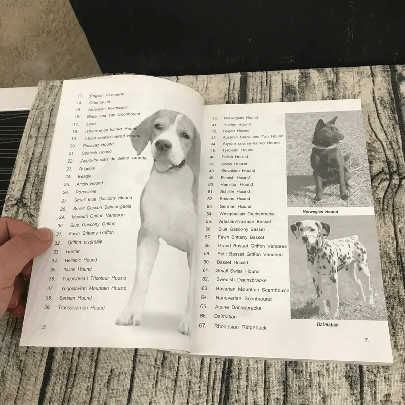 Dog in Thailand Volume 1 รวมสุนัขสายพันธุ์ของนิยมในประเทศไทย - ทวีศักดิ์ รูปที่ 16