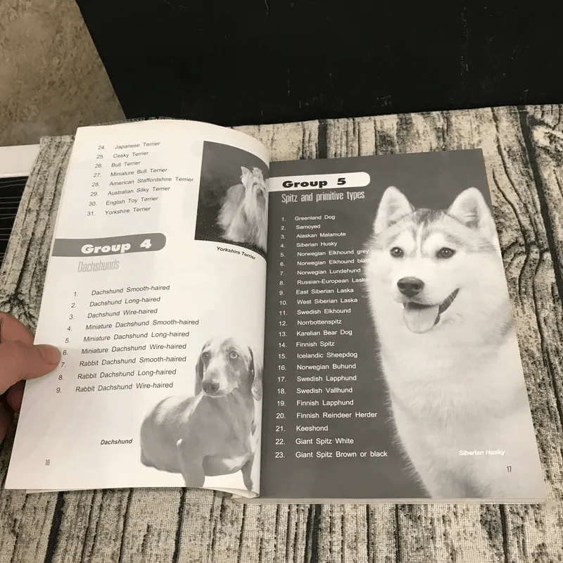 Dog in Thailand Volume 1 รวมสุนัขสายพันธุ์ของนิยมในประเทศไทย - ทวีศักดิ์ รูปที่ 14