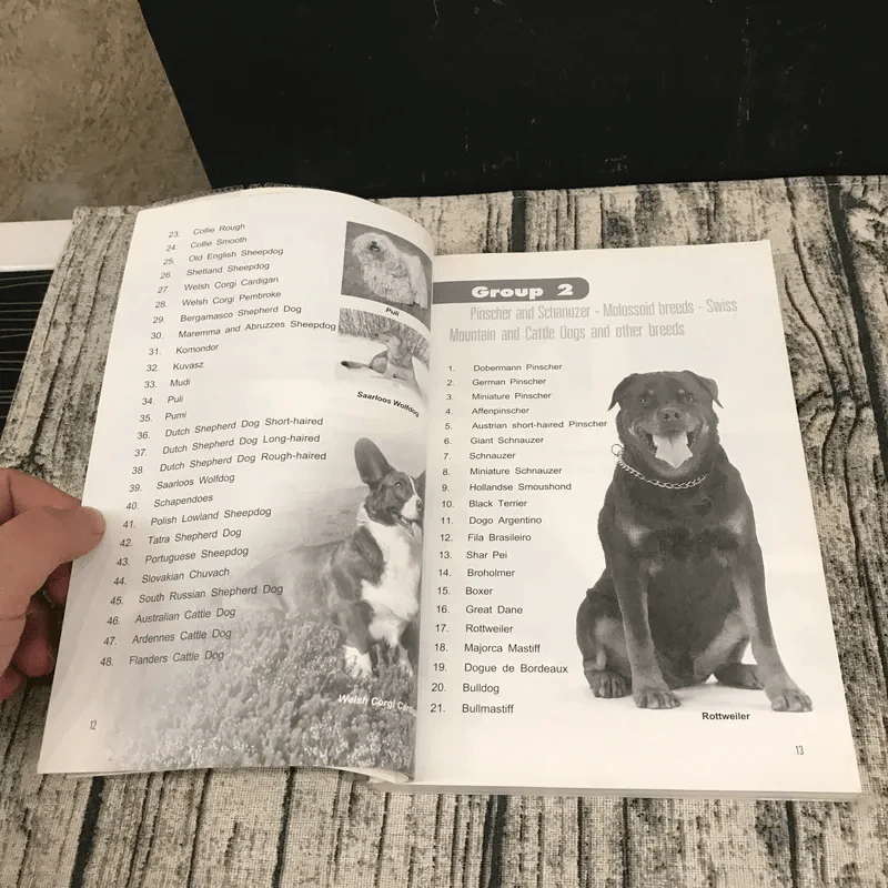 Dog in Thailand Volume 1 รวมสุนัขสายพันธุ์ของนิยมในประเทศไทย - ทวีศักดิ์ รูปที่ 12