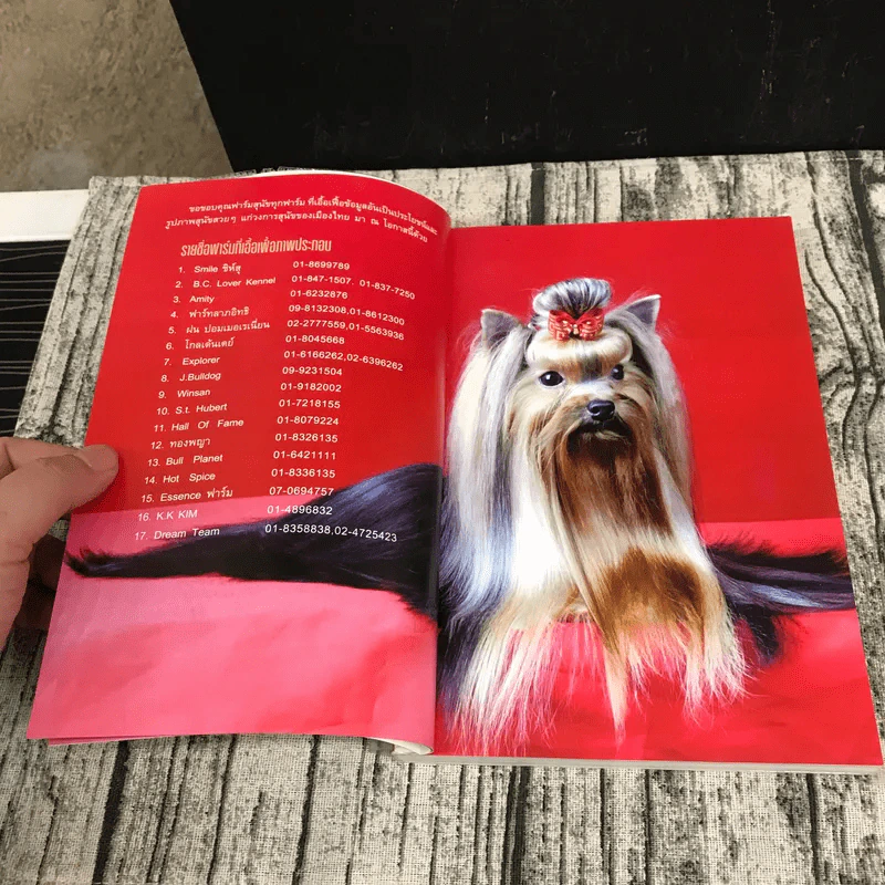 Dog in Thailand Volume 1 รวมสุนัขสายพันธุ์ของนิยมในประเทศไทย - ทวีศักดิ์ รูปที่ 9