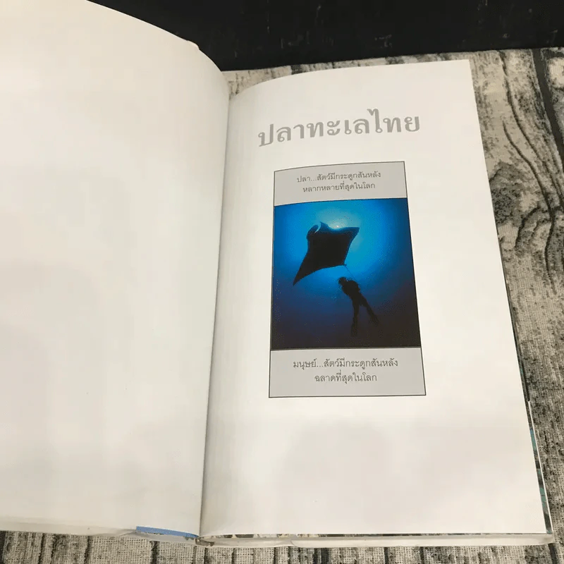 ปลาทะเลไทย - ธรณ์ ธำรงนาวาสวัสดิ์ และท่านอื่นๆ รูปที่ 7
