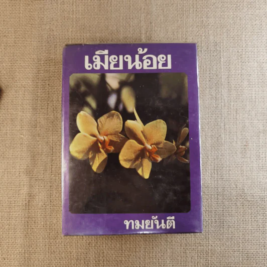 เมียน้อย 2 เล่มจบ - ทมยันตี รูปที่ 11