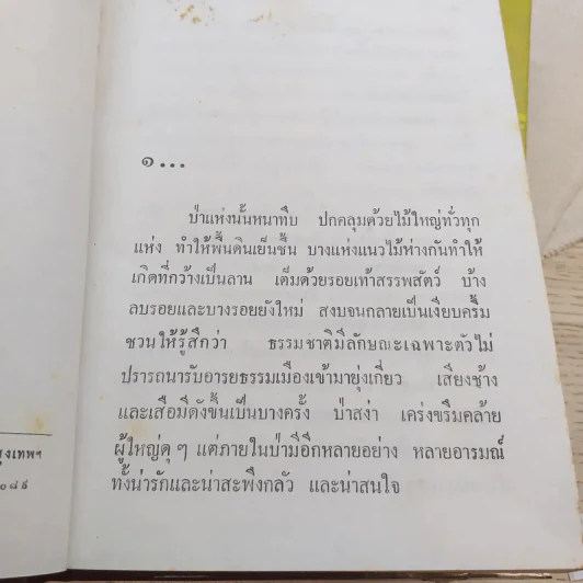 ลูกหว้า 2 เล่มจบ - ช่อลัดา รูปที่ 8