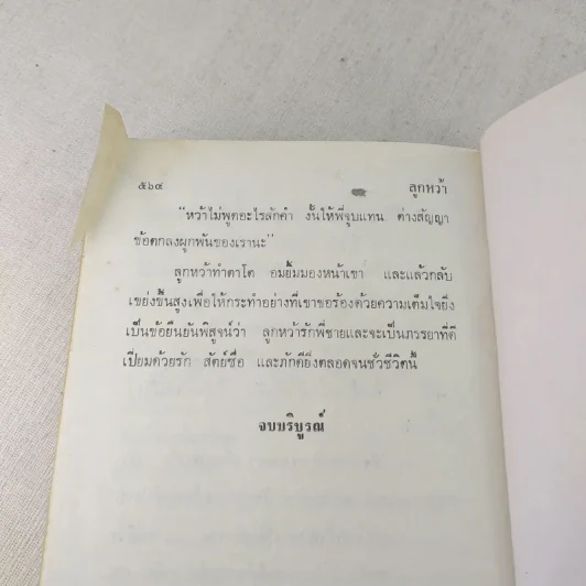 ลูกหว้า 2 เล่มจบ - ช่อลัดา รูปที่ 12